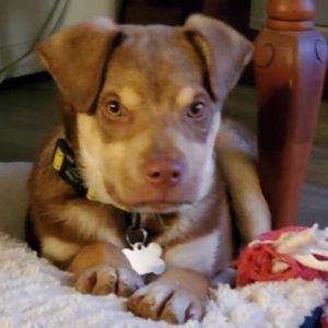 Meet your Posher, Tj